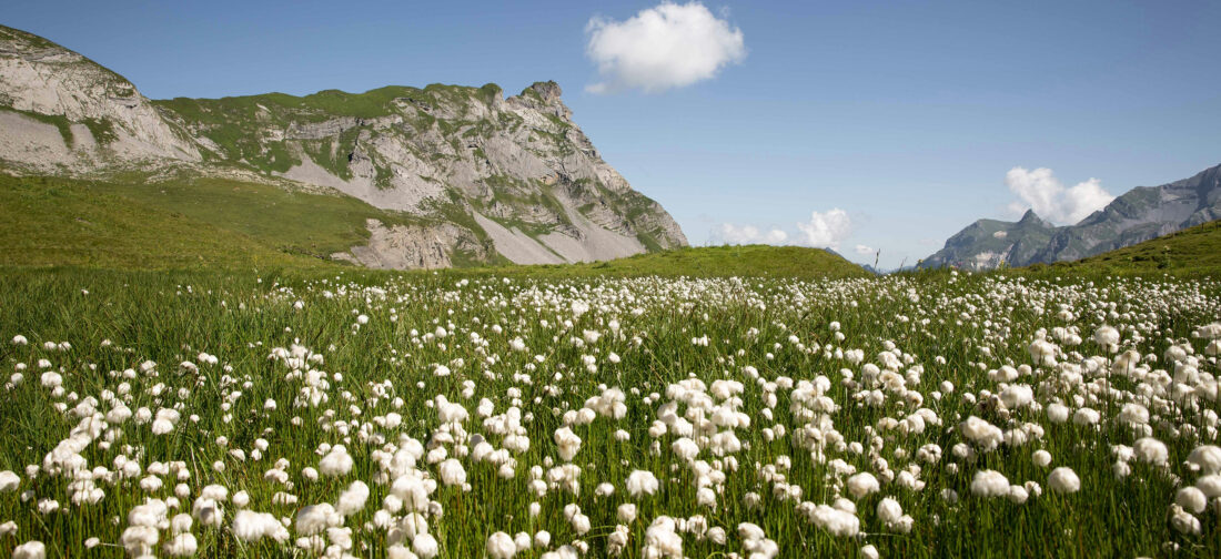 Natural Summer Style: Choose 100% Cotton