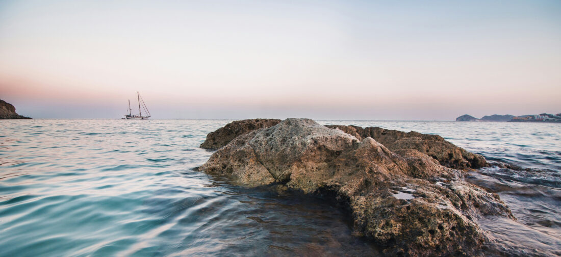 Our NEW Summer 2025 Collection Arrives...