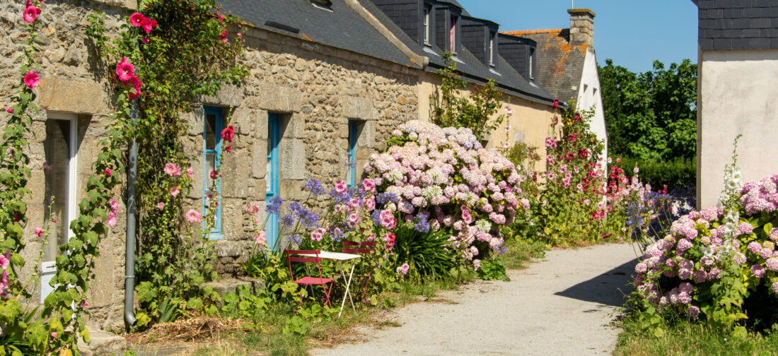 Florals Are Forever: Blooming into Style for 2025