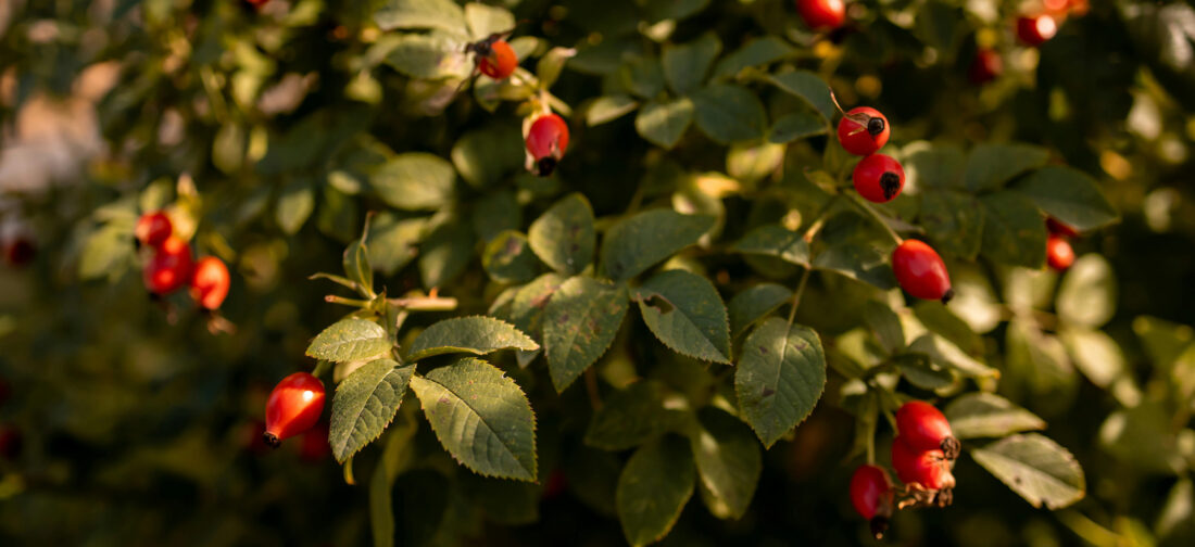 Smart Shifts: Your Go-To Transitional Outfits